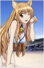 Asobi ni Iku yo!: Asobi ni Oide