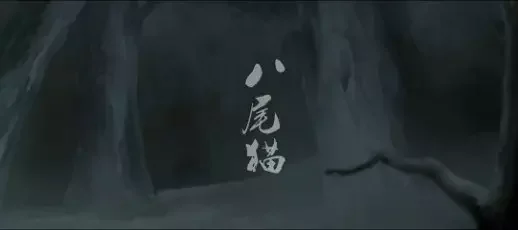 Eight-Tailed Cat
