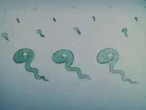 Han Seisaku Sakuhin