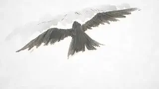 Karasu (PV)