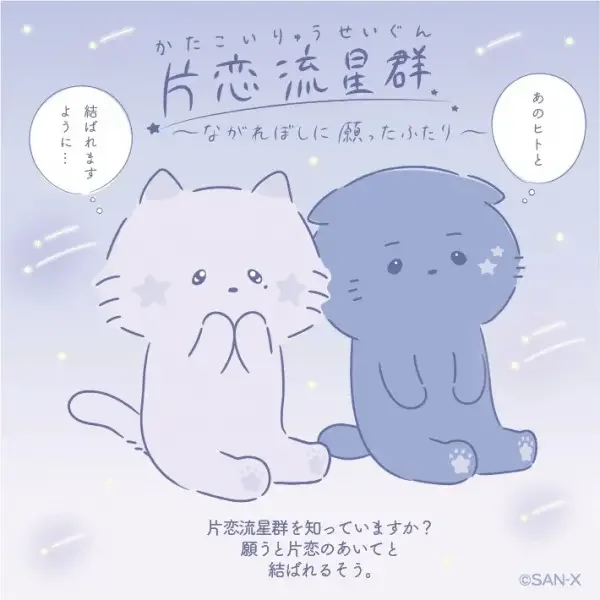 Katakoi Meteor Shower