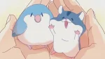 Kimi shika Inai