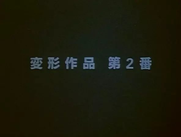 Metamorphose Works No.2