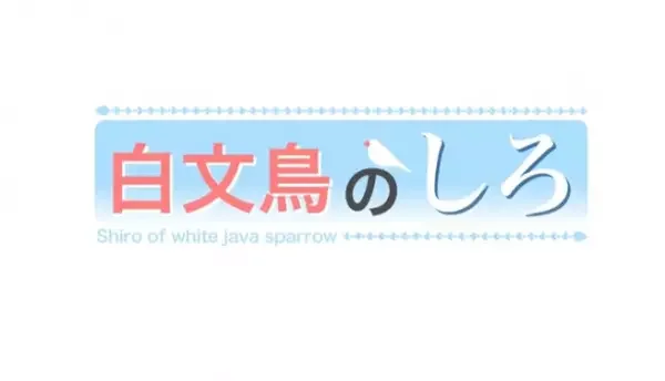 Shiro the White Java Sparrow