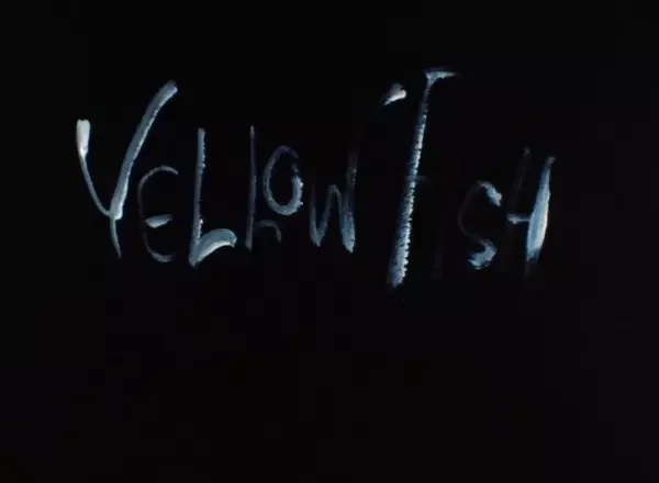Yellow Fish