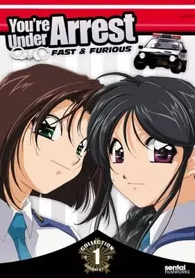 Taiho Shichau zo: Second Season