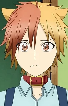 Akisame, Tamao