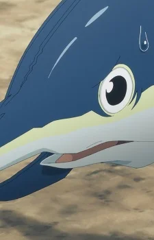 Amaru, Zan