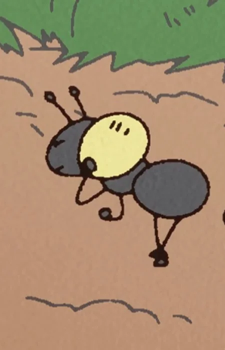 Ant