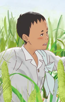 Boy