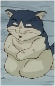 Buccha
