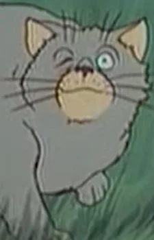 Cat (Bremen)