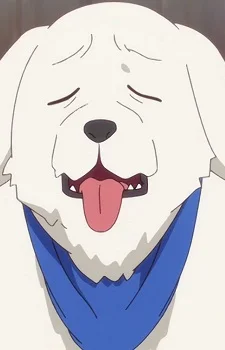 Chibi