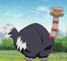 Condor