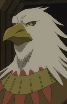 Condor, Hawk