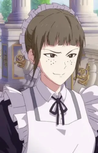 Fake Maid