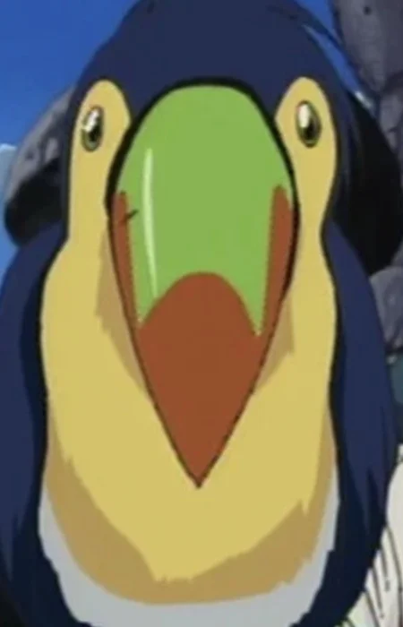 Joy