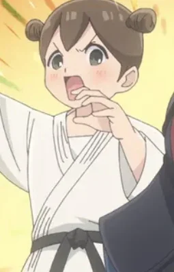 Judo Fighter