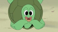 Kamekichi-kun