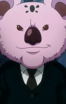 Koala