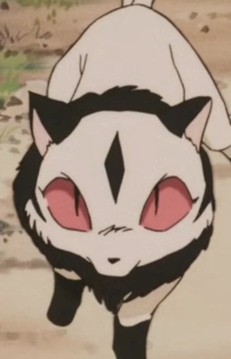 Kuroro