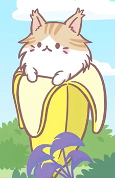 Maine Coon Bananya