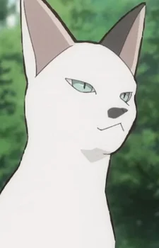 Mosha-mosha III