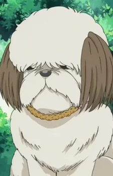 Noda, Chocola