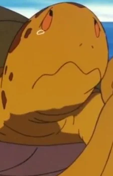 Octo-Turtle