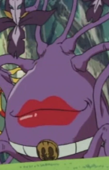 Oldest Weed Sister
