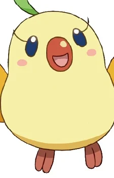 Pipirupi