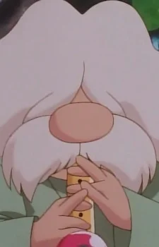 Pokémon Flute Player