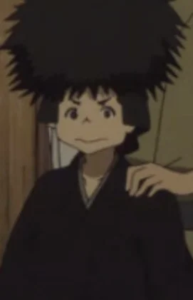 Puuta