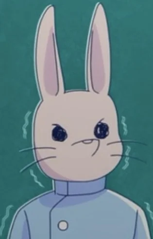 Rabbit Nurse