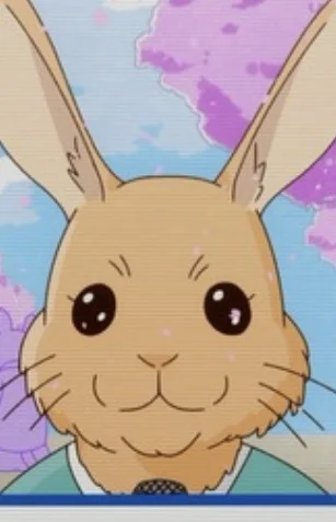 Rabbit Reporter