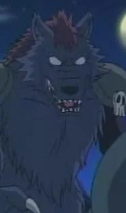 Rogelu, Garo