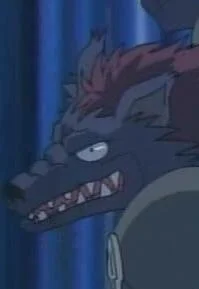 Rogelu, Ruga