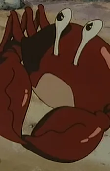 Runner Crab
