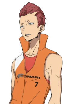 Saruhashi, Yukei