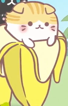 Scottish Fold Bananya