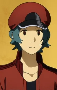 Sekkekkyuu