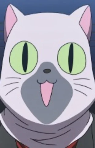 Siamese Cat