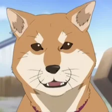 Sola