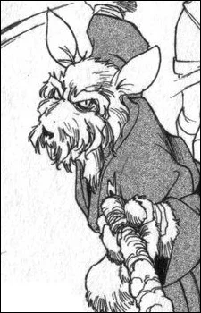 Splinter
