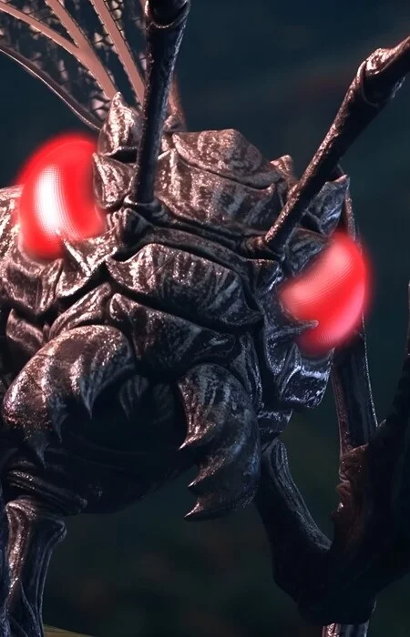Stone Swallowing Ant Queen