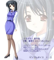Tachibana, Ayane