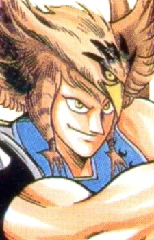 The Hawkman