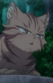 Tora-neesan