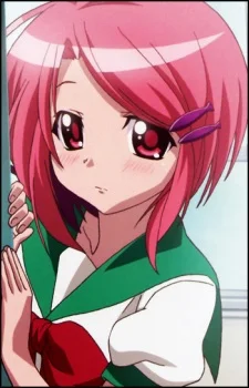 Tsubame, Tsubasa