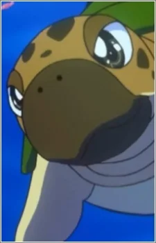 Turtle